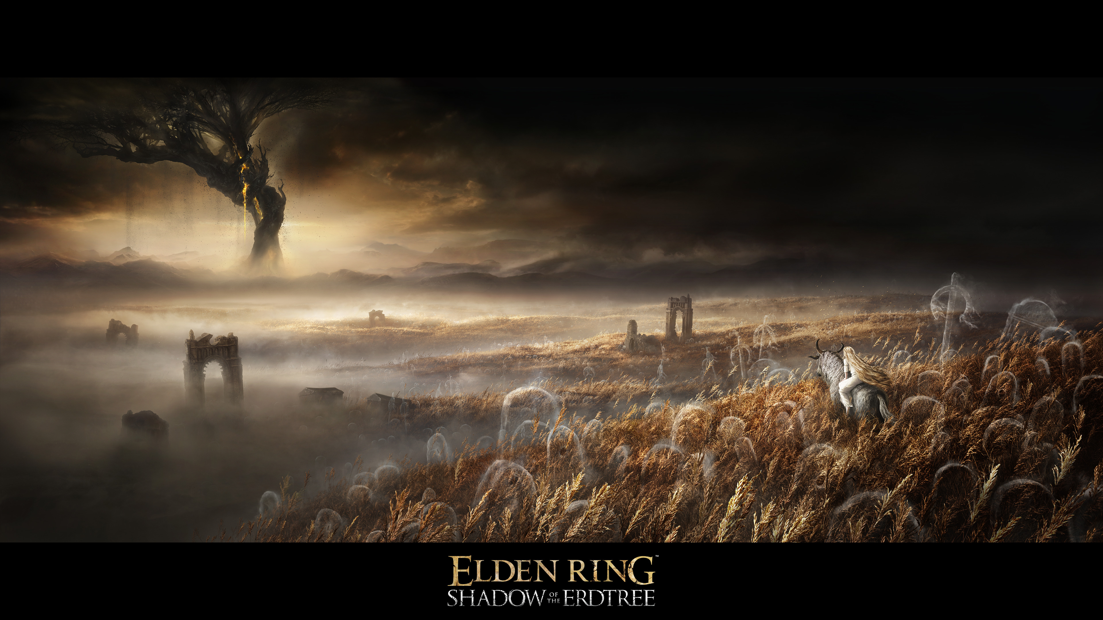 《Elden Ring》DLC《Shadow of Erdtree》在 2024 年之前沒有計劃？